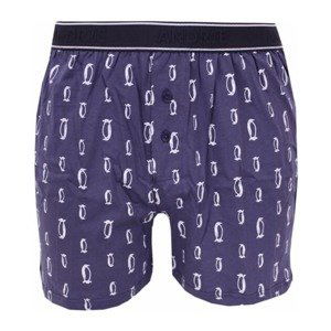 Men's shorts Andrie dark blue (PS 5580 C)