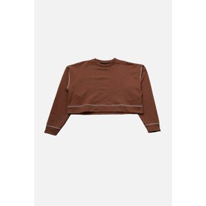 Trendyol Brown Bedstead Stitched Crop Thin Knitted Sweatshirt