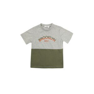 Trendyol Gray Color Block Printed Boy Knitted T-Shirt