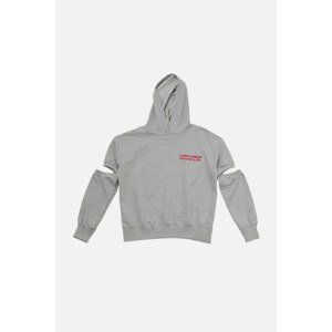 Trendyol Sweatshirt - Gray - Regular fit