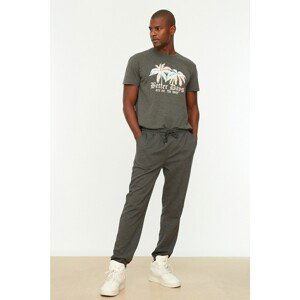 Trendyol Anthracite Men Regular Fit Sweatpants