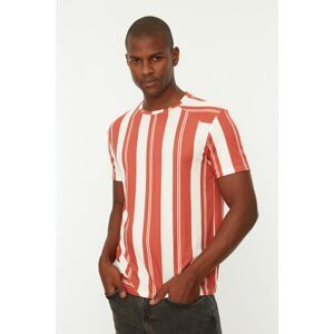 Trendyol Tile Men Regular Fit Crew Neck Short Sleeve Striped T-Shirt