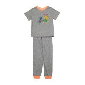 Trendyol Gray Printed Basic Boy Knitted Pajamas Set