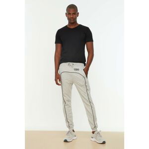 Trendyol Gray Men's Regular Fit Sweatpants