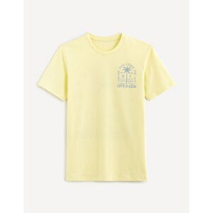 Celio T-shirt Ateazur with print - Men