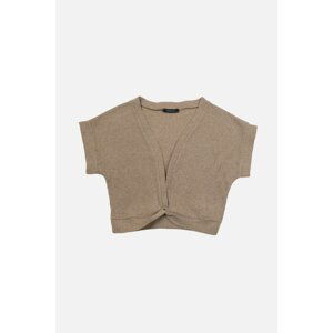 Trendyol Mink Knitwear Look Crop Knitted Blouse