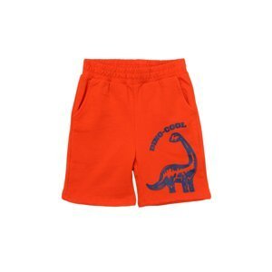 Trendyol Orange Printed Elastic Waist Boy Knitted Shorts & Bermuda