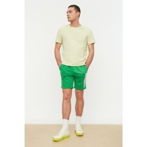 Trendyol Green Men's Regular Fit Shorts & Bermuda