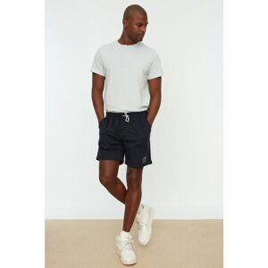 Trendyol Navy Blue Men's Regular Fit Shorts & Bermuda