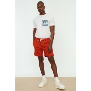 Trendyol Cinnamon Men Regular Fit Shorts & Bermuda
