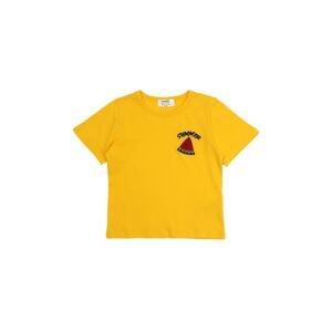 Trendyol Yellow Embroidered Boy Knitted T-Shirt