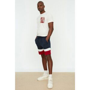 Trendyol Navy Blue Men's Regular Fit Shorts & Bermuda