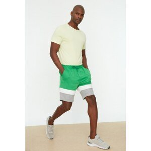 Trendyol Green Men's Regular Fit Shorts & Bermuda