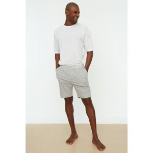 Trendyol Gray Men's Regular Fit Shorts & Bermuda