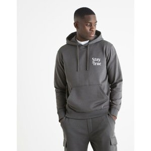Celio Sweatshirt with print and hood - Men
