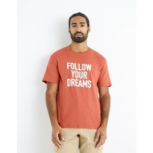 Celio Cotton T-shirt with print - Men