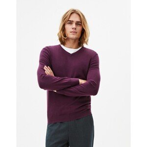Celio Pepper Sweater with V Neckline - Men