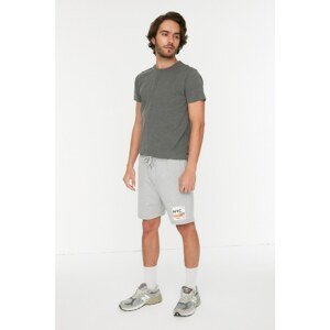 Trendyol Gray Men's Regular Fit Printed Shorts & Bermuda