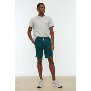 Trendyol Emerald Green Men's Regular Fit Shorts & Bermuda
