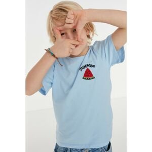 Trendyol Light Blue Embroidery Boy Knitted T-Shirt