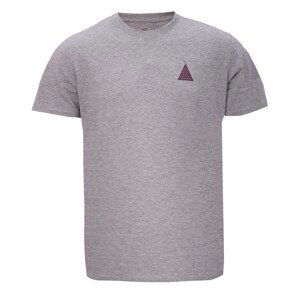 APELVIKEN - Men's short sleeve tee - Grey melange