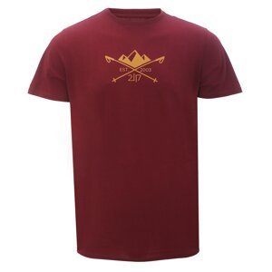 APELVIKEN - men's t-shirt with short sleeves - Wine red
