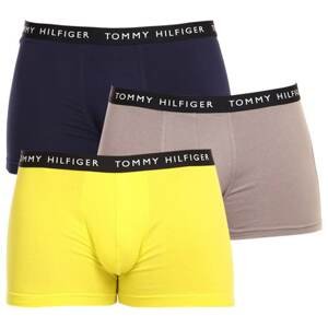 Set of three men's boxers in blue, grey and yellow Tommy Hilfiger - Men