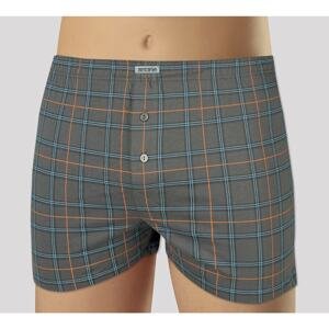 Men's shorts Andrie gray (PS 5600 C)
