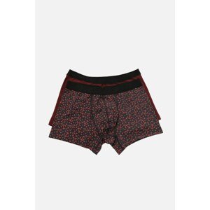 Trendyol Multi Color Male 2-Pack Boxer