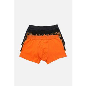 Trendyol Multi Color Male 2-Pack Boxer