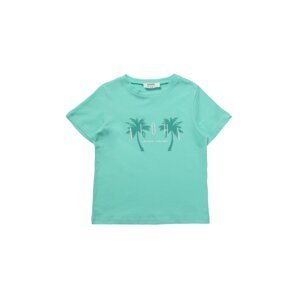 Trendyol Mint Printed Crew Neck Boy Knitted T-Shirt