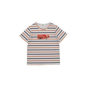 Trendyol Multi Color Striped Boy Knitted T-Shirt
