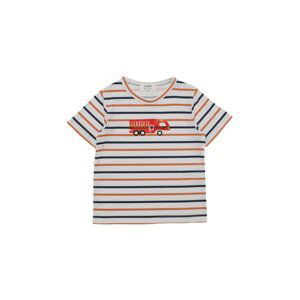 Trendyol Multi Color Striped Boy Knitted T-Shirt