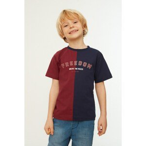 Trendyol Navy Blue Color Block Printed Boy Knitted T-Shirt
