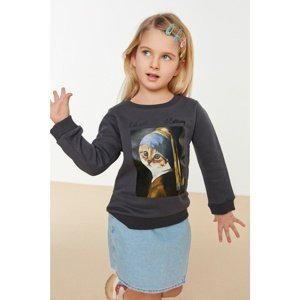 Trendyol Anthracite Girl with a Pearl Earring Licensed Knitted Thin Sweatshirt
