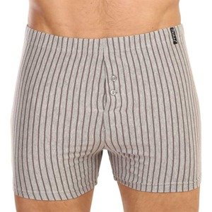 Men's shorts Molvy gray (MP-1052-BBU)