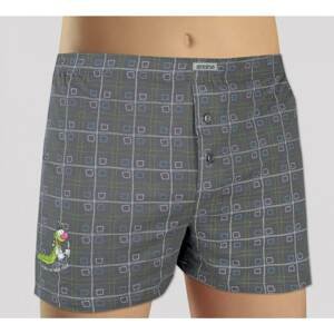 Men's shorts Andrie gray (PS 5602 D)