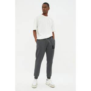 Trendyol Anthracite Men's Regular Fit Rubber Leg Sweatpants