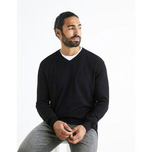 Celio Smooth sweater Befisrtv - Men