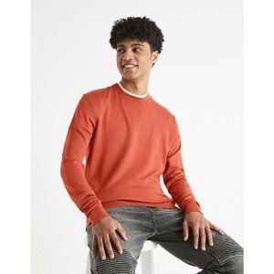 Celio Smooth Sweater Befirst - Men