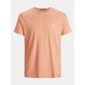 Orange T-shirt with Print Jack & Jones Poolside - Men