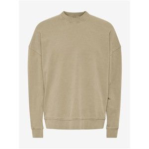 Men's Beige Basic Sweatshirt ONLY & SONS Ron - Men's