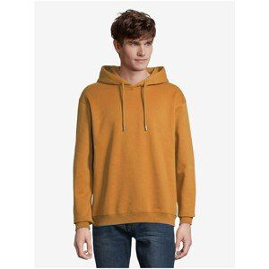 Brown Men's Hoodie Tom Tailor Denim Hoody - Men's