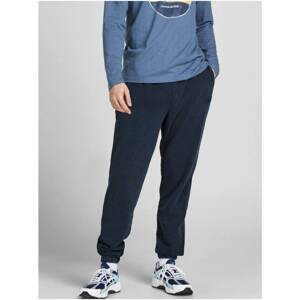 Jack & Jones Bill Dark Blue Sweatpants - Men's