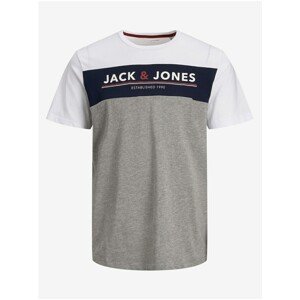 Blue-Grey Annealed T-Shirt Jack & Jones Ron - Men