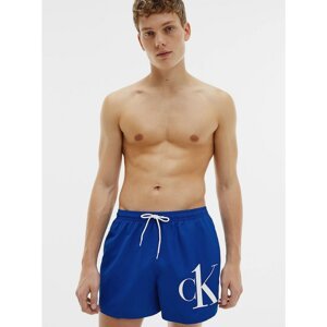 Calvin Klein Blue Mens Swimwear Short Drawstring - Men