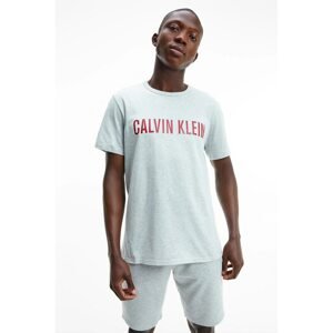 Calvin Klein Grey Men's T-Shirt S/S Crew Neck - Men's