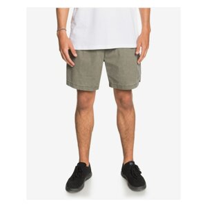 Taxer 17" Quiksilver Shorts - Men