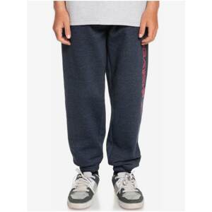 Sweatpants for children Quiksilver - unisex