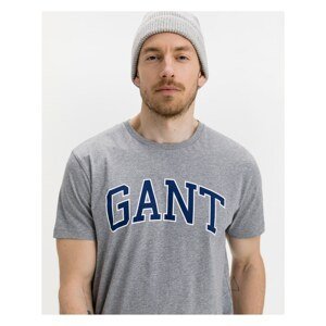Grey Men's T-Shirt GANT Arch Outline - Men's